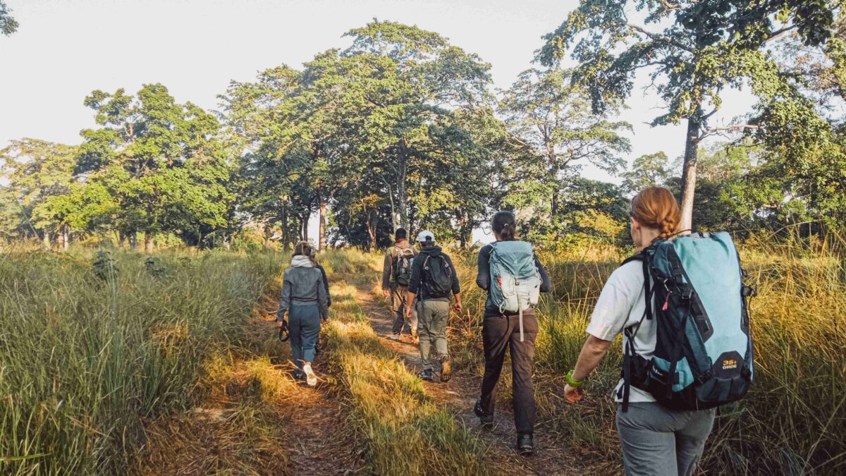 Bardiya Jungle Walk NEpal