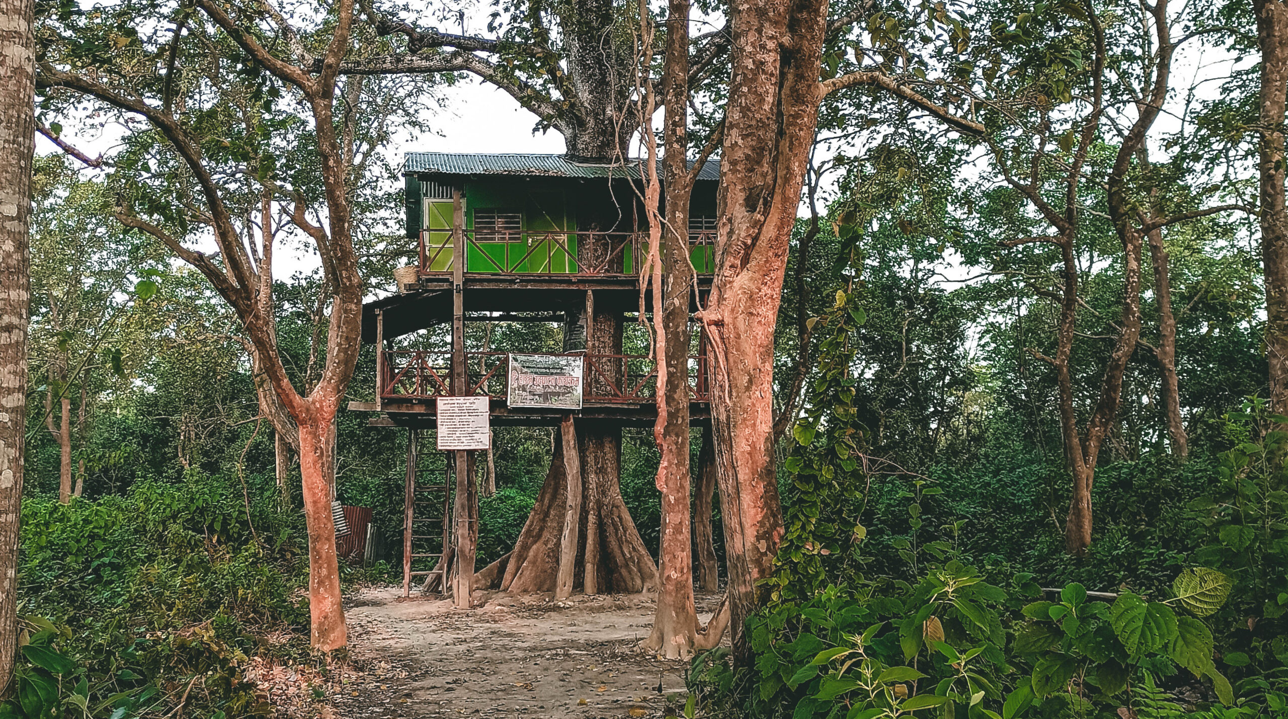 Tree House in Bardia National Park