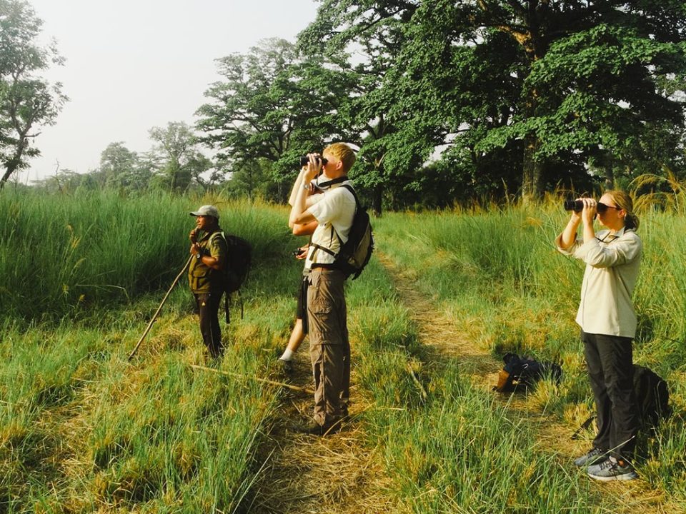 Bird Watching in Nepal