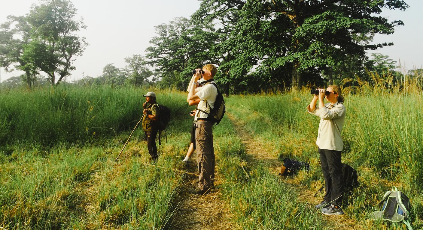Bird Watching in Nepal